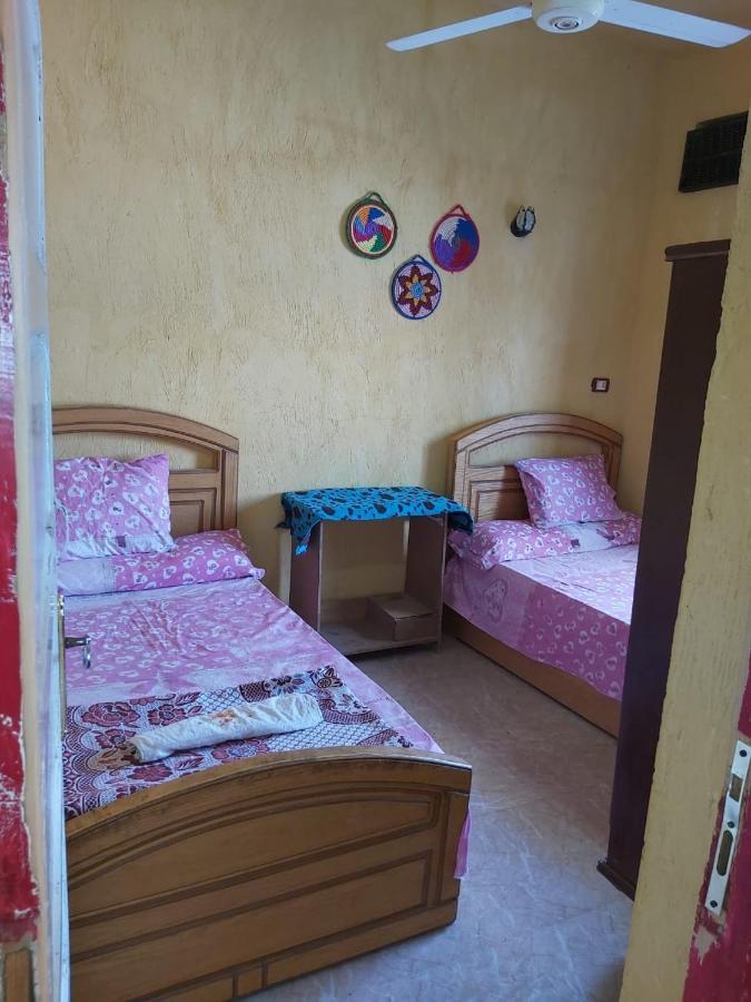 فندق Otasho Nile View House أسوان المظهر الخارجي الصورة