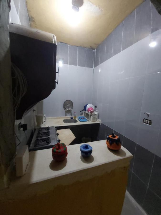 فندق Otasho Nile View House أسوان المظهر الخارجي الصورة