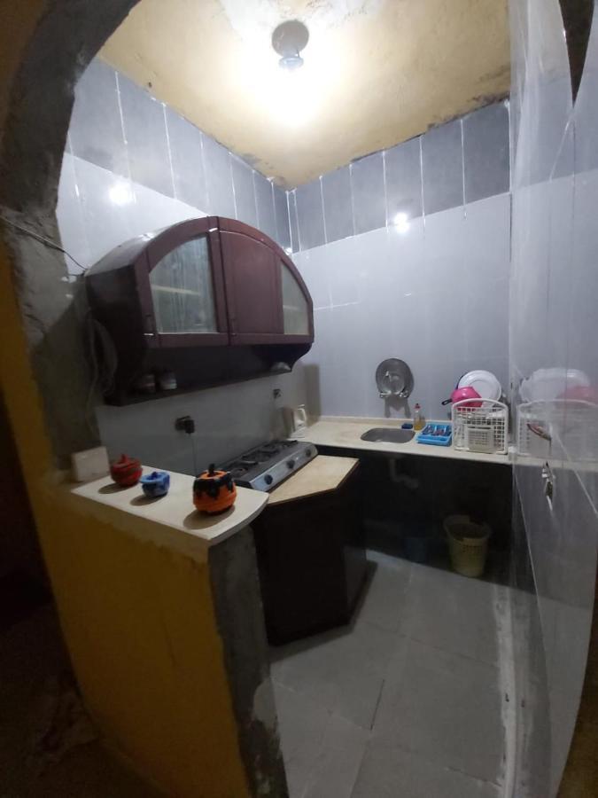 فندق Otasho Nile View House أسوان المظهر الخارجي الصورة